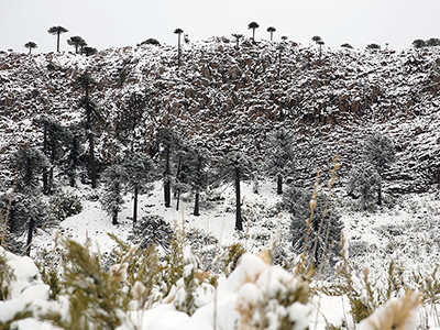 Invierno